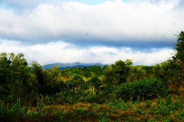 Widok na dżunglę i góry, panorama. Chmury, niebo i las. © Adam