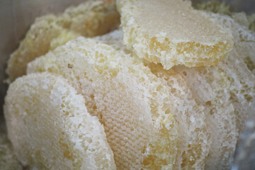 Freshly harvested honeycomb showcased at a local market