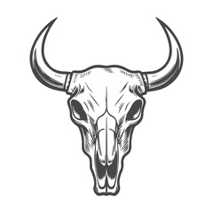Detailed Illustration of a Cow Skull with Large Horns. Bull Skull Illustration