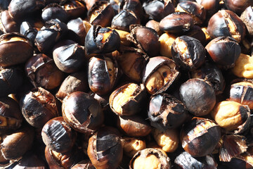 Roasted chestnuts piled together on a sunny day at a market