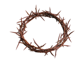 Crown of thorns, religious symbol, circular shape, brown spiky branches, Christian iconography, PNG file isolated on transparent background ,cut out, clipping path, close up, high quality
