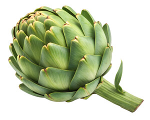 Obraz premium Artichoke Isolated on Transparent Background