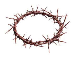 Crown of thorns, religious symbol, circular shape, brown spiky branches, Christian iconography, PNG file isolated on transparent background ,cut out, clipping path, close up, high quality
