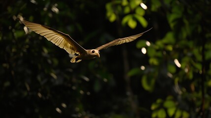 Rare Sunda Colugo gliding silently through the dense Malaysian rainforest its membrane stretched wide against the moonlit sky