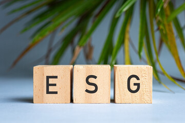 ESG word on wooden blocks. Isolated with palm leaf at the background.