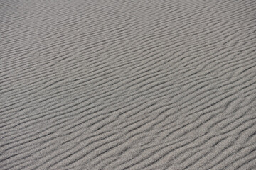 Obraz premium waves in the sand