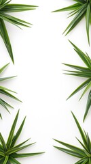 Obraz premium Tropical leaves frame, white background, summer design, invitation template