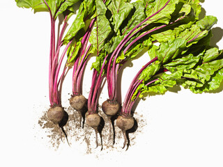 Fresh Beetroots with Greens on White Background