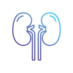 kidney Vector icon