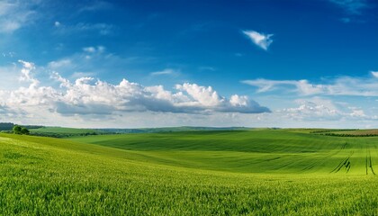 Obraz premium beautiful panorama of rolling green fields spring or summertime background with white fluffy clouds and natural landscape
