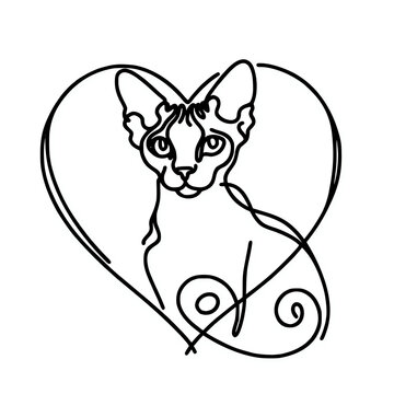 Minimalist line devon rex cat in a heart illustration 