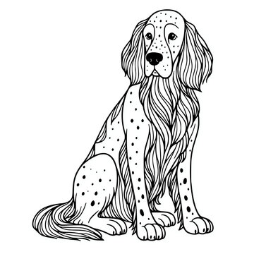 English setter dog coloring page illustration