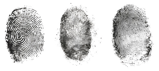 three fingerprints with unique patterns. isolated, transparent background	
