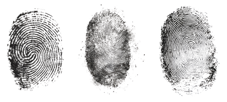 three fingerprints with unique patterns. isolated, transparent background	

