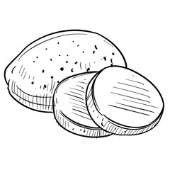 potato handdrawn illustration