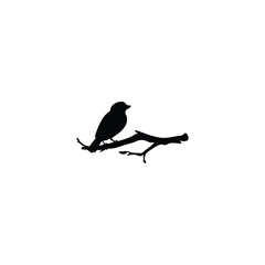 Bird silhouette