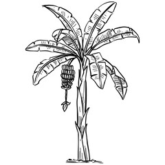 trees handdrawn illustration