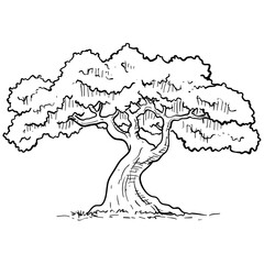trees handdrawn illustration
