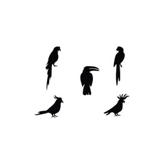 Black Bird silhouette