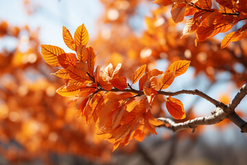 vibrant hues of autumn leaves dance in wind, whispering tales of bittersweet melancholy and breathtaking splendor, embodying eternal rhythm of existence, growth, and revival