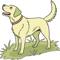 Labrador Retriever Dog Illustration