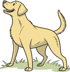 Labrador Retriever Dog Illustration