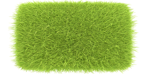 Illustration Green Grass Texture Background a Natural Lawn Turf Pattern Fresh Summer and Bright Garden Surface with Copy Space on Transparent Backdrop