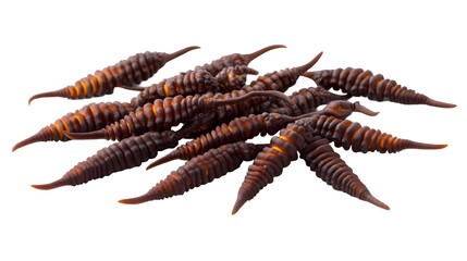 Obraz premium Detailed Abstract Illustration Of Piled Brown Segmented Worms With Organic Texture In Transparent Background For Creative Design