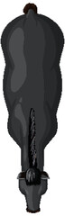 Top-Down View of a Black Horse