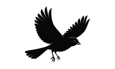 Fototapeta premium Blackbird Flying Wings Spread Silhouette
