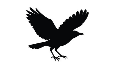 Obraz premium Crow Taking Off Black Silhouette