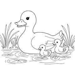Duck swiming on pond, illustration, drawing, coloring book for kids