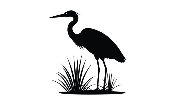 Heron Standing Grass Black Silhouette
