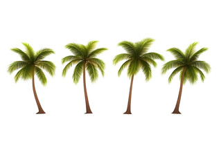 Realistic Four Green Palm Trees Illustration with Tropical Foliage Nature Background Trunk and Exotic Flora In Sunlight Coast Vegetation and Sunny Tranquility