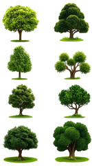 Fototapeta premium Realistic Illustration of Green Trees Collection in Transparent Backgrounds Representing Nature and Forest with Diverse Foliage Including Different Shape Tree Cliparts with Plant Design