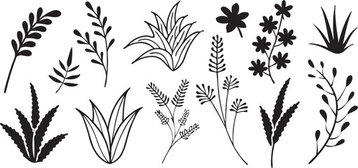 Fototapeta premium Diverse silhouettes of plants and grasses in black.