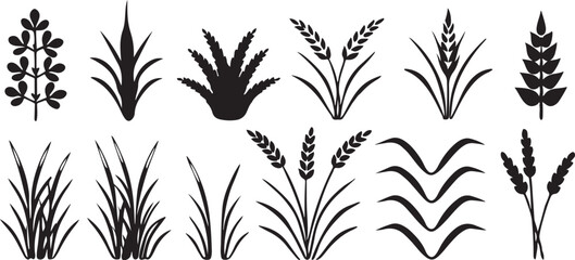 Diverse silhouettes of plants and grasses in black.