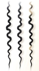 Curly Hair Textures: Black for Brown, Blonde.