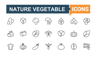 Vegetables line icon set. Included green, health, vegetarian, vegetable, nature, food, fresh and more. Thin web icons. Healthy vector icon set. Editable stroke. Vector collection.