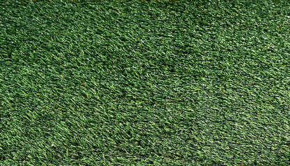 grass, above, empty, nature, clean, cut, lawn