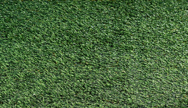 grass, above, empty, nature, clean, cut, lawn