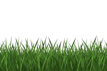 Illustration of Green Grass Transparent Background Seamless Lawn Meadow Field, Nature's Beauty in Pixelated Retro Style Design Element Decoration Botany Spring Fresh Backdrop