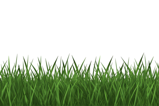 Illustration of Green Grass Transparent Background Seamless Lawn Meadow Field, Nature's Beauty in Pixelated Retro Style Design Element Decoration Botany Spring Fresh Backdrop