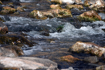 Rio Chama river flowing over rocks in New Mexico