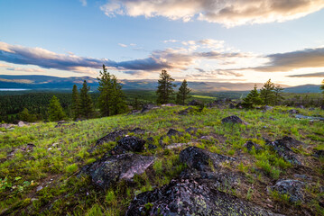 Vibrant Twilight Colors In Forest Meadow