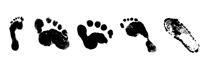 A collection of unique footprint prints. Black on transparent background. PNG, Cutout, or clipping path.