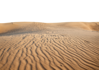 sand dune isolated on transparent background
