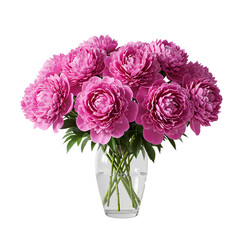 Pink Peonies in Vase: Flower Bouquet on Transparent  background