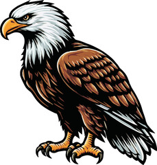 eagle vector ilustration on transparant background.Hand Drawn Illustration of Pierce American Eagle .png