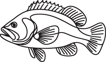 Grouper Fish Line Drawing Tutorial for Beginners